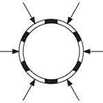 StormPipe perfore tp